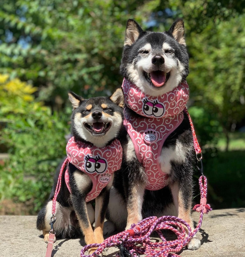 唐草模様 長春色がこんな素敵な作品に♪